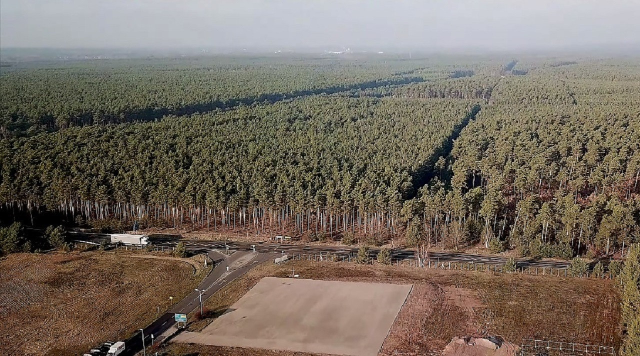 Tesla вырубит 83 гектара леса в Европе ради нового завода